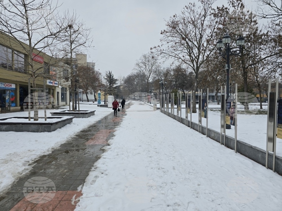 Машинен оператор, специалист по металорежещи машини и стругар са част от свободните работни места на Бюрото по труда в Козлодуй