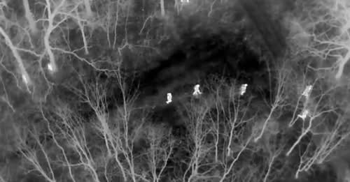 България се включи в международната операция на ИНТЕРПОЛ за противодействие на незаконен трафик