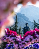 В навечерието на 8 март центърът на Враца се превърна в още по-цветно и красиво място