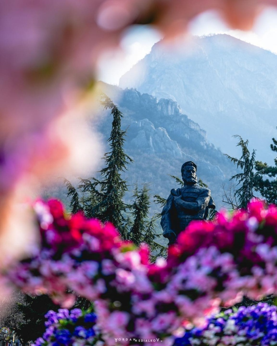 В навечерието на 8 март центърът на Враца се превърна в още по-цветно и красиво място