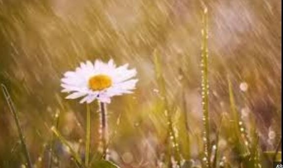 Вите какво ще е времето на Велика събота