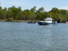 Българи и румънци обхождат Дунав, откриха 14 кърмака за улов на моруна