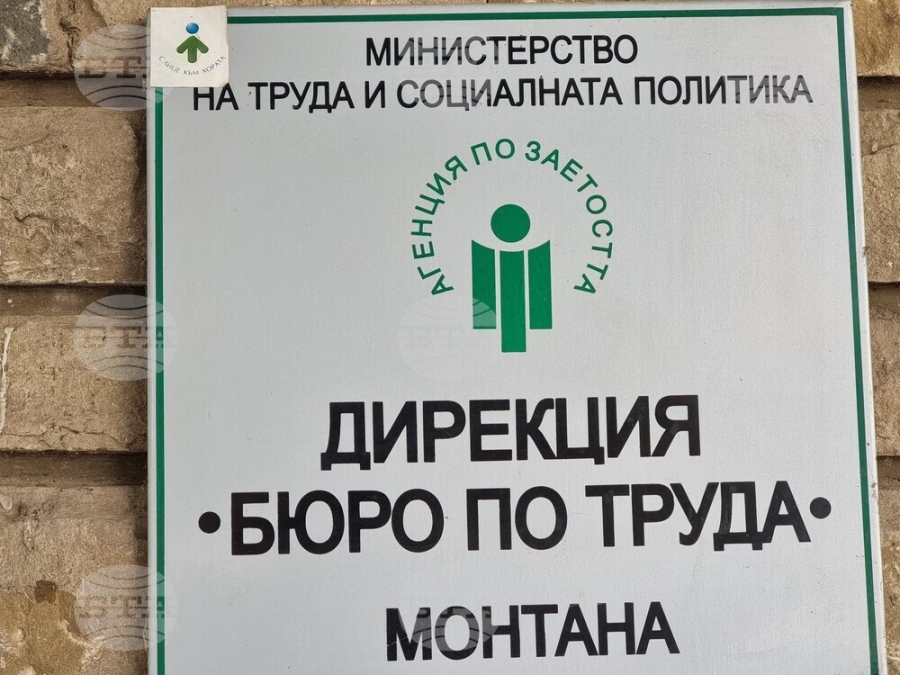 В Бюрото по труда в Монтана са обявени 19 работни места за висококвалифицирани специалисти