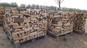Вдигнаха цената на общинските дърва във Вършец