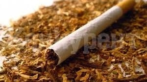 Видинските полицаи иззеха 1 кг нарязан тютюн без бандерол