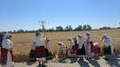 Започна жътвата в Монтанско