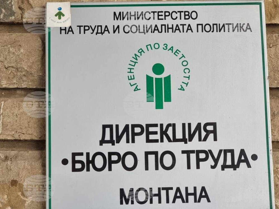 Бюрото по труда в Монтана обяви 39 свободни работни места за висококвалифицирани специалисти