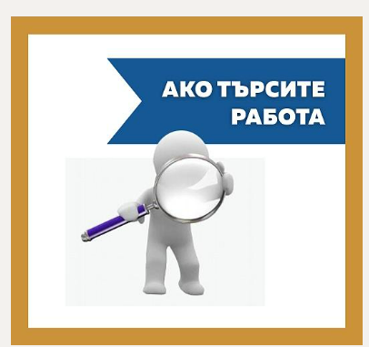 Останали сте без работа? Ето от какви кадри се нуждаят в област Видин