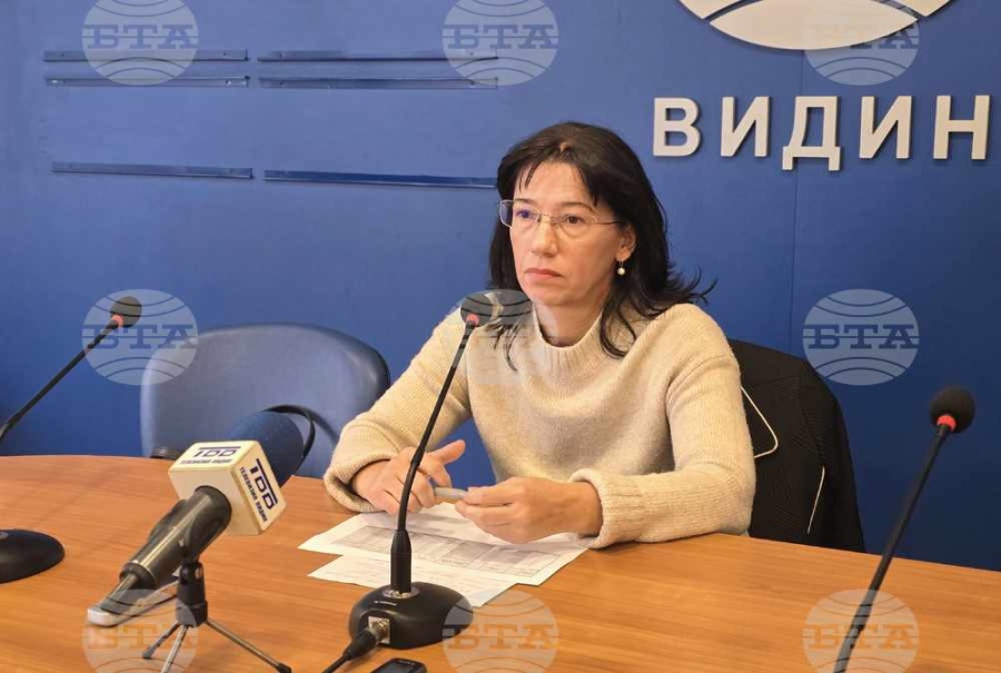Избирателната активност в област Видин към 11:00 часа е 8,11 %
