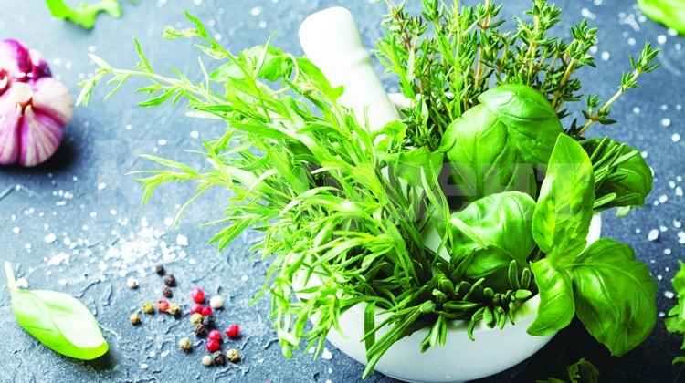 Билки за изчистване на белия дроб от токсините при пушене