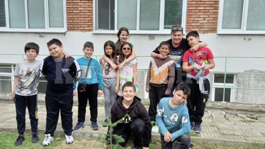 Две елхи засадиха учениците в двора на училището в Оряхово