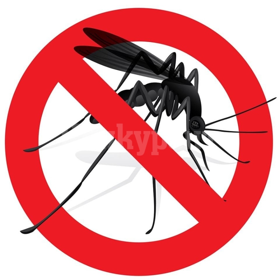 Пак пръскат срещу комари на територията на община Козлодуй 