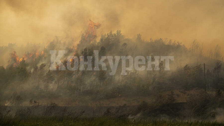 Опасност от избухване на мини заради пожар в Словения