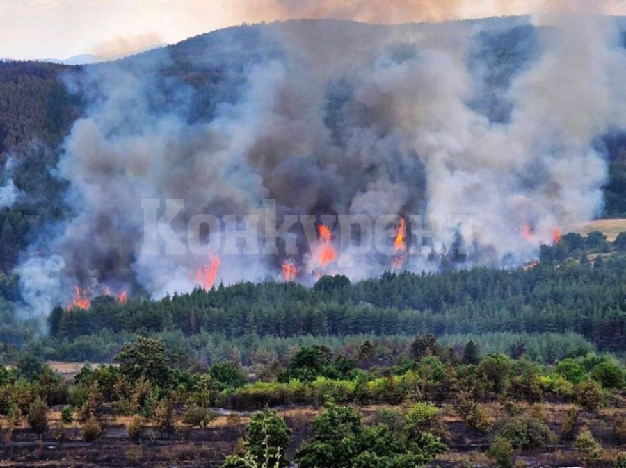 Пожар гори в Стара планина