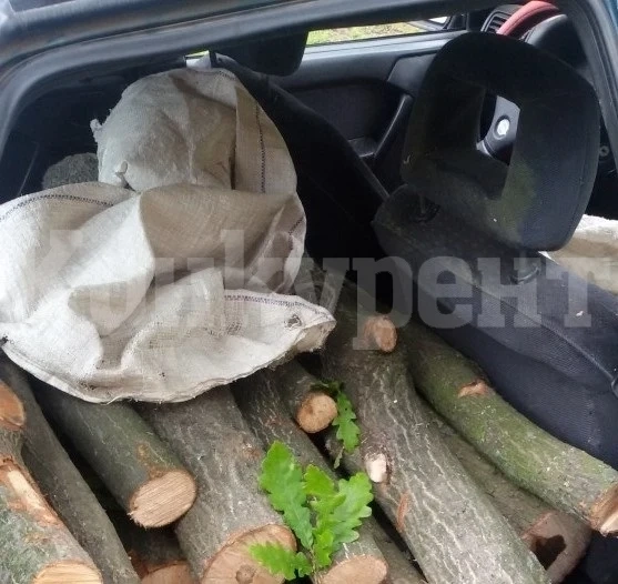 Погнаха двама с незаконни дърва, те зарязаха колата си