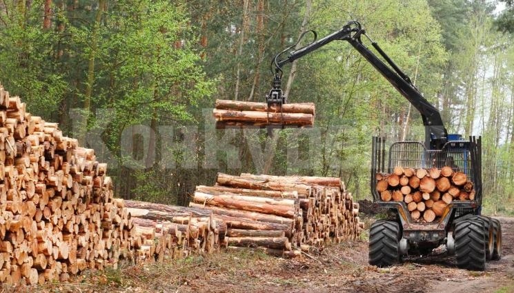 Трите най-големи дърводобивни предприятия у нас спират работа