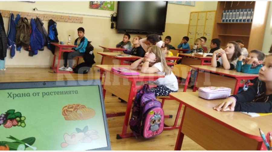 Лошо! 12 са образуваните възпитателни дела срещу малолетни и непълнолетни за противообществени прояви в Белоградчик