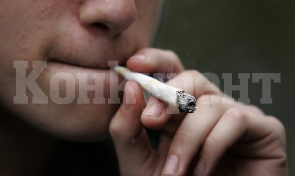 Бум в разпространението и употребата на „билка“ за пушене във Враца