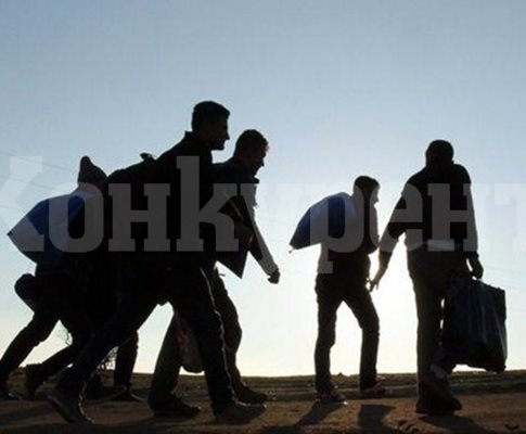 Седем афганистанци бяха заловени при опит за незаконно влизане в Хърватия с лодка