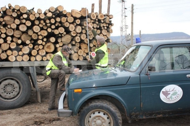 Спипаха 35-годишен румънец с незаконни дърва във Видинско 