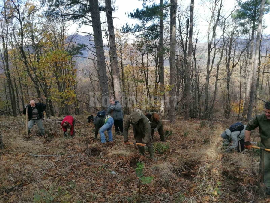 ДГС-Белоградчик участва в обучение на горски работници 
