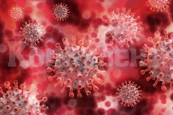 147 са новите случаи на коронавирус у нас