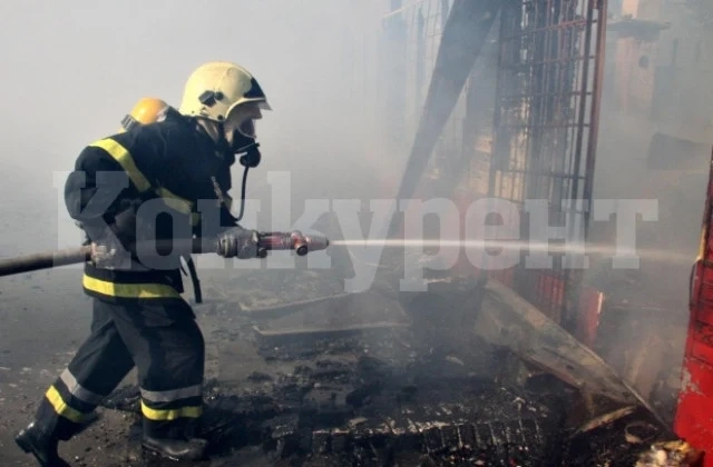 Гълъби изгоряха в пожар