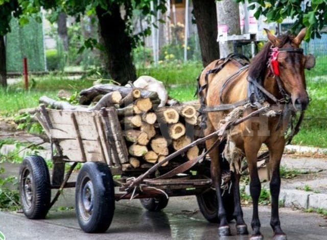 Засякоха каруца с незаконни дърва във Видинско