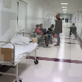 Мъж и жена са приети в пловдивска болница в тежко състояние заради кърлежи