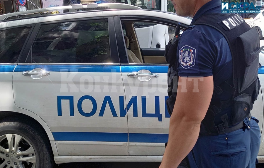 Съвместни екипи от български и румънски пътни полицаи ще контролират и подпомагат трафика по главен път Е-79 в област Видин
