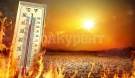 Екстремните горещи вълни причиняват 150 000 смъртни случая годишно