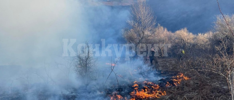 41 пожари за първото полугодие на територията на СЗДП-Враца 