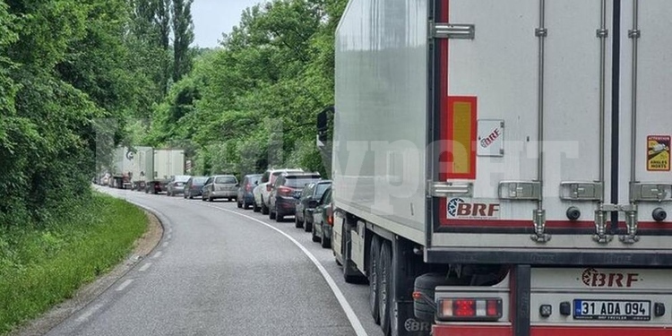 На вниманието на шофьорите! Паднало дърво блокира движението през прохода “Петрохан”