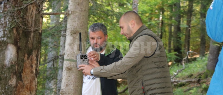 Поставиха фотокапани в гора на територията на ДГС Берковица, за мониторинг на едрите хищници СНИМКИ