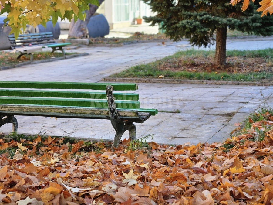 Продължават дейностите по облагородяване на община Берковица