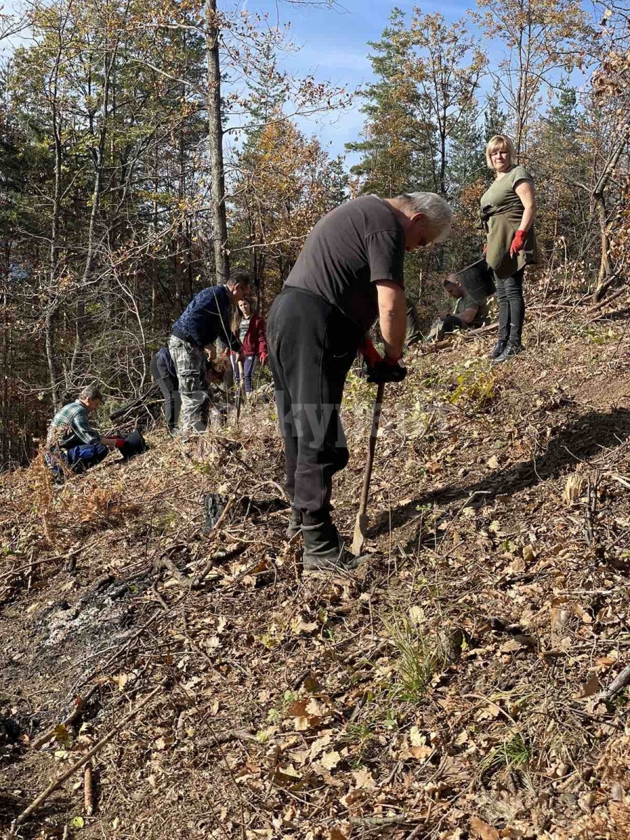 Стартира есенната кампания по залесяване на територията на СЗДП ДП