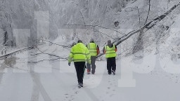 До 15 часа  Петрохан  е затворен, премахват опасни дървета в близост до пътя