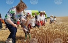 Никой не е по-голям от хляба, обяви при старта на жътвената кампания във Врачанско председателят на парламента Наталия Киселова