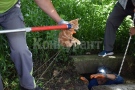 Пожарникари спасиха коте, паднало в кладенец
