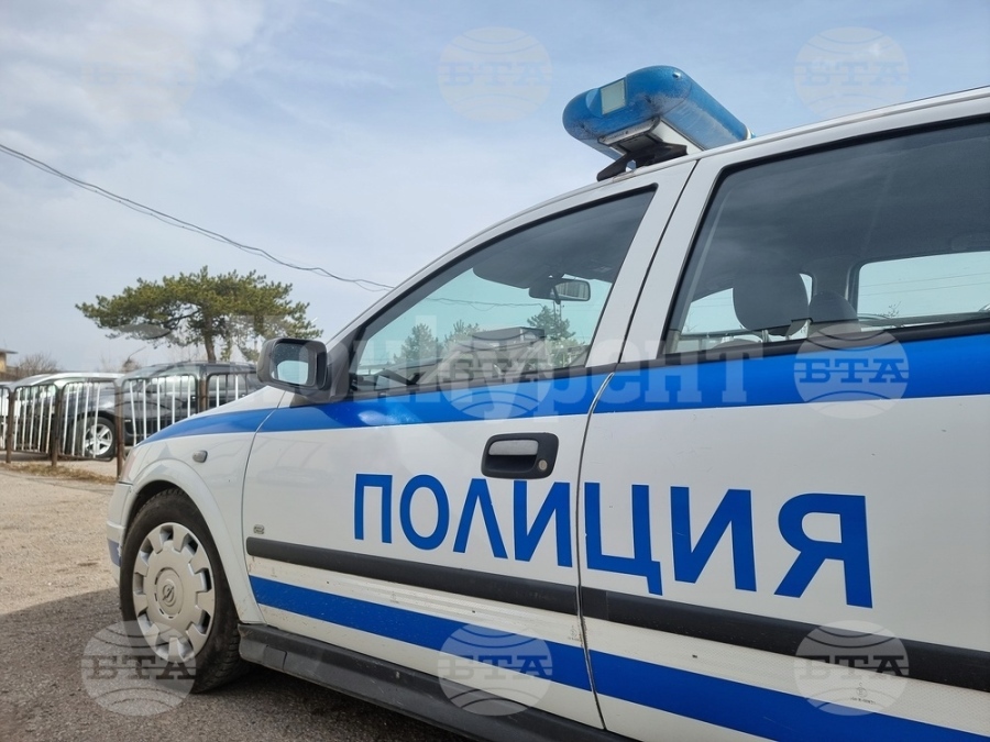 Полицията разкри насаждения от канабис в берковското село Балювица