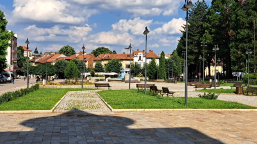 Берковица отбелязва празника си