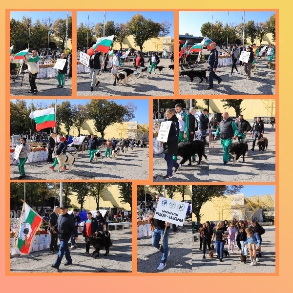 Успехи за Клуба за Българско овчарско куче – Берковица