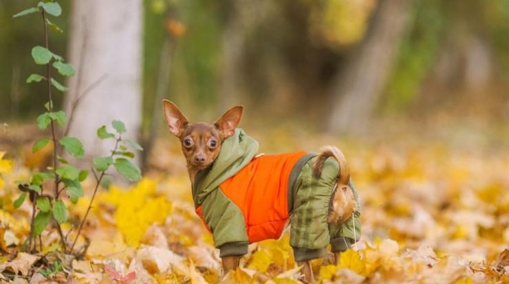 Слънчев старт и дъжд за финал: Ноември ще ни изненада с пролетни температури до 25°C