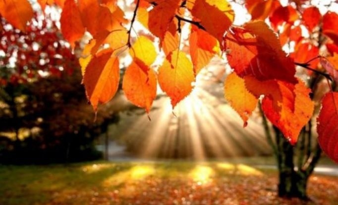 Предимно слънчево в неделя