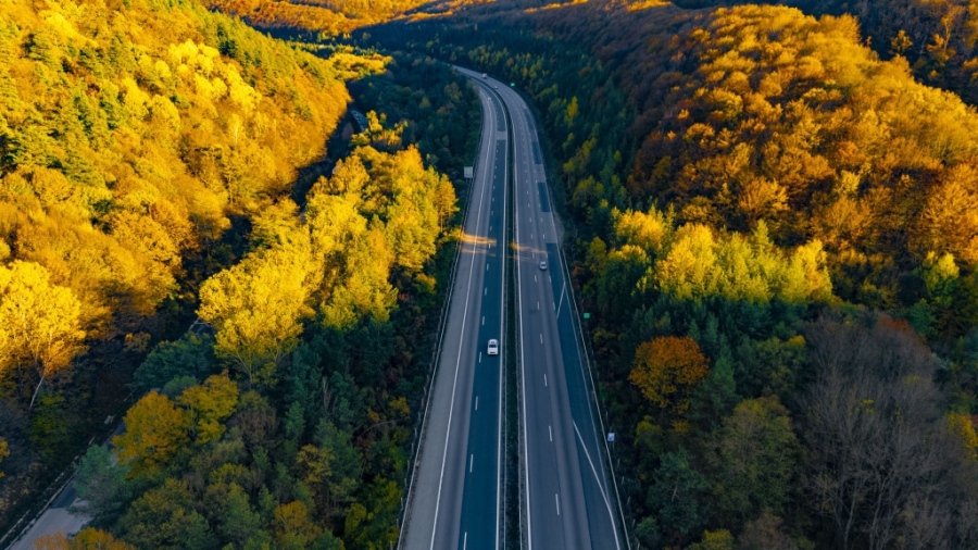 Шофирайте внимателно: Отстраняват растителност на магистрала „Хемус\