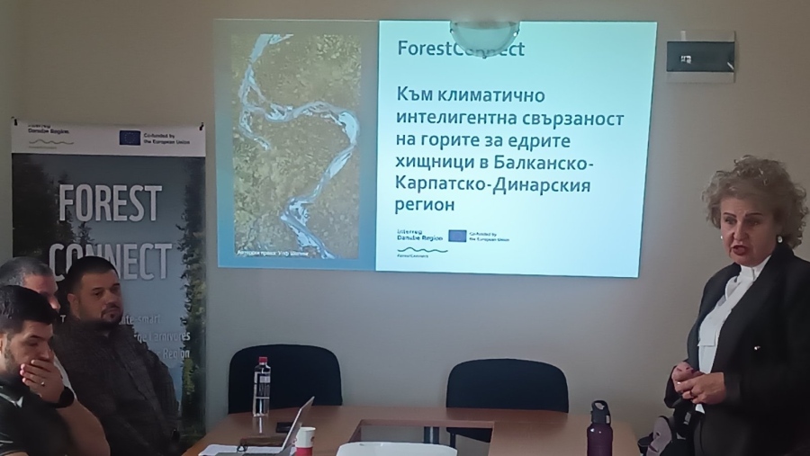 На трансгранична експертна среща във Враца обсъдиха мерки за адаптация на горите към климатичните промени