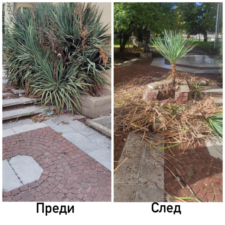 Новата Viber линия за сигнали във Видин продължава да дава резултати