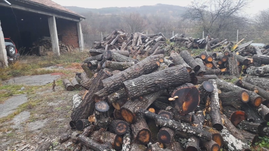 Продължават хайките за незаконни дърва