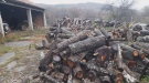 Складовете на горските  са претъпкани  с бракониерски трупи, повечето стоят там години