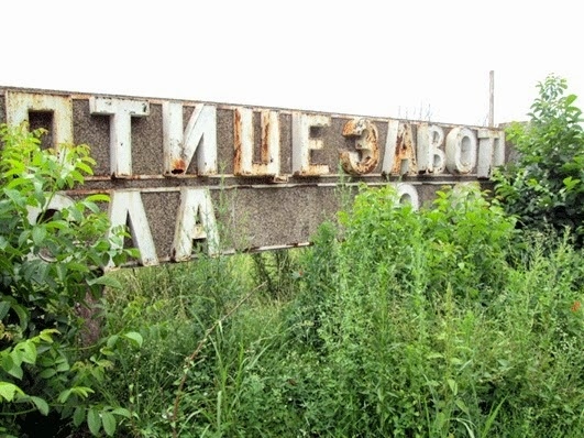 Разбиха и ограбиха бившия птицекомбинат в Монтана